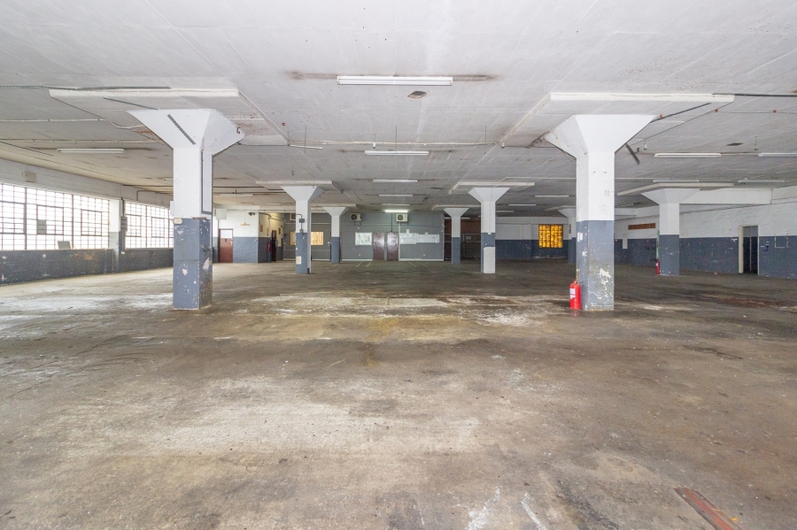 To Let commercial Property for Rent in Korsten Eastern Cape